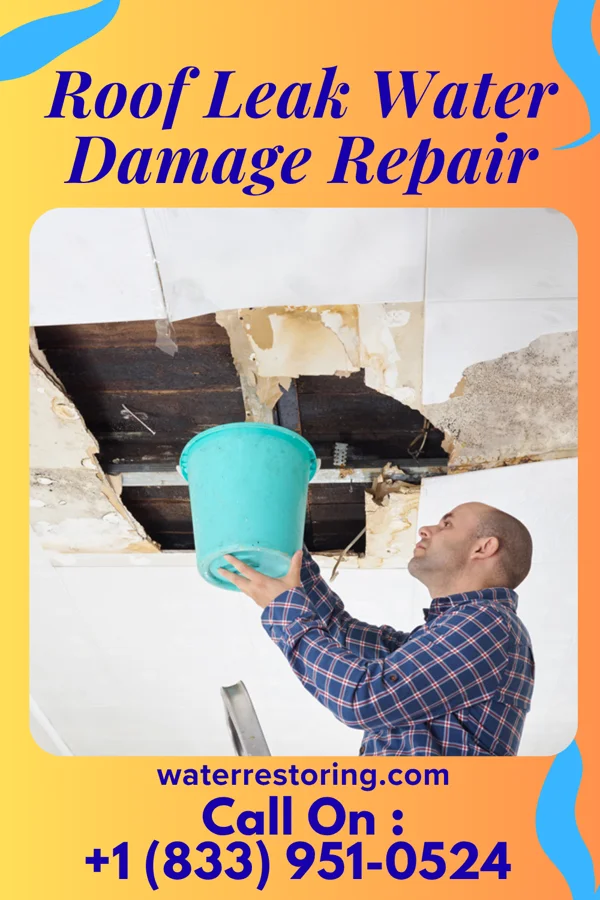 Roof Leak Water Damage Repair in South Hills, MT
