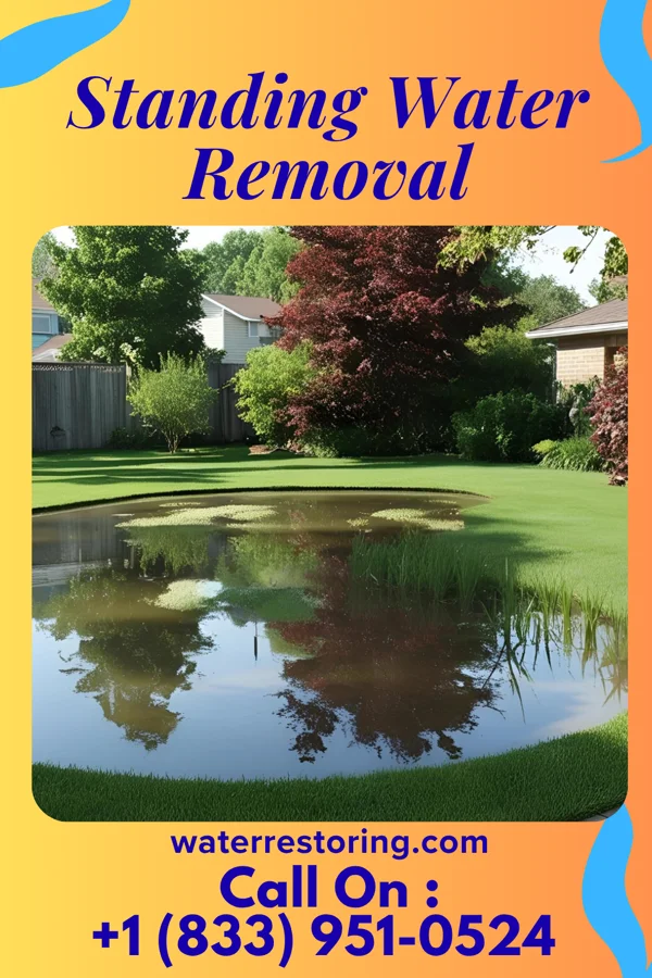 Standing Water Removal in South Hills, MT